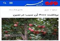 برداشت ۴۰۰۰ تُن سیب در نمین